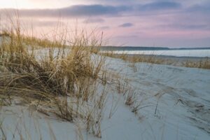 düne, strand