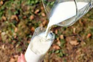 milchtechnologe