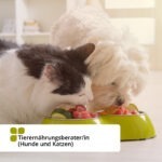 Tierernährungsberater (Hunde und Katzen) - SGD