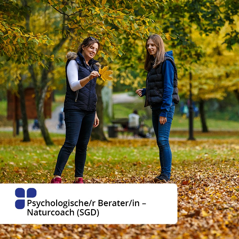 Psychologischer Berater Alle Infos zum Beruf und Ausbildung